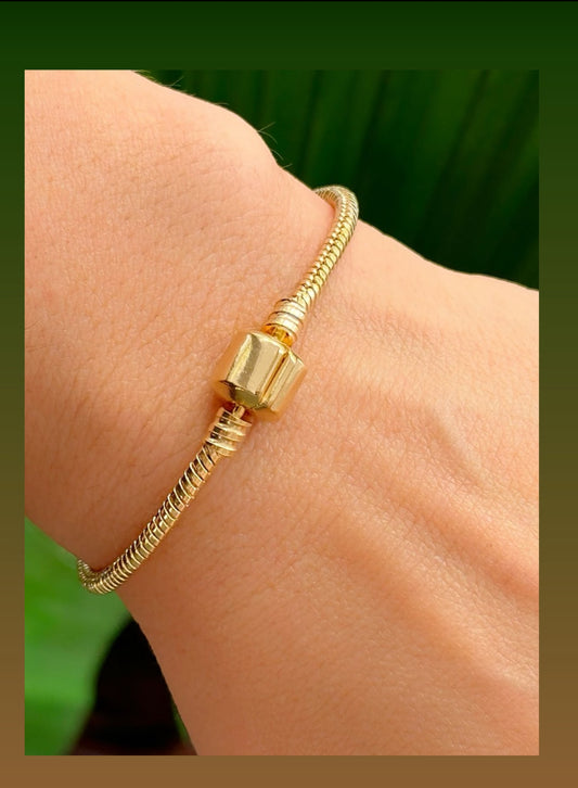 Charm Bracelet