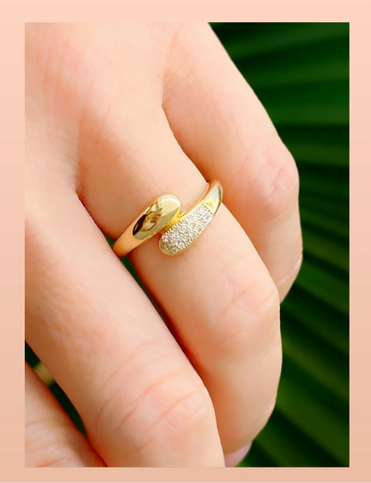 Smooth & Pavé Ring