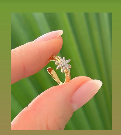 Star Piercing with One Inlaid Line