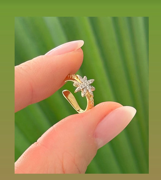 Star Piercing with One Inlaid Line