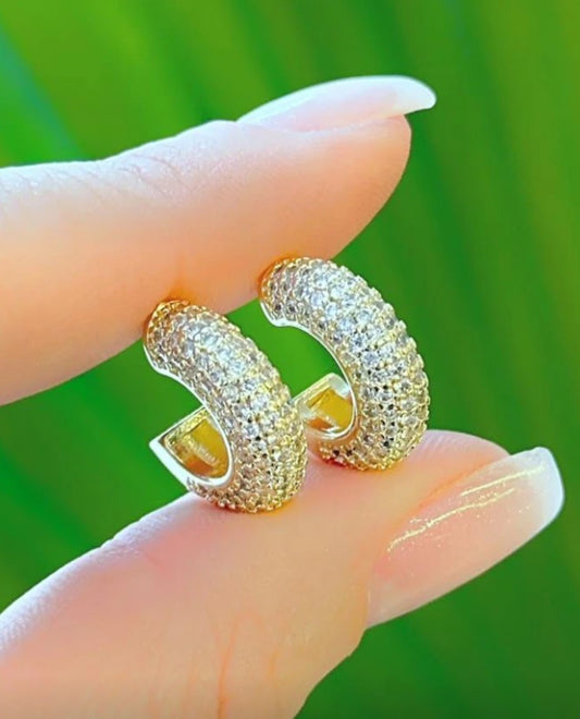 Pave Huggie earring 9233