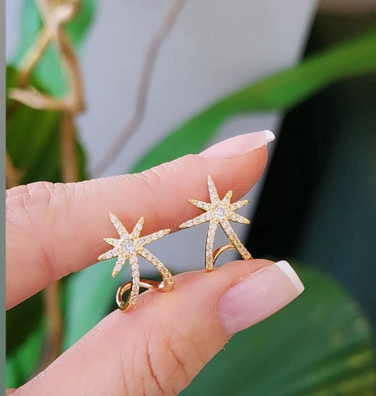 Star claw stud earring 7625